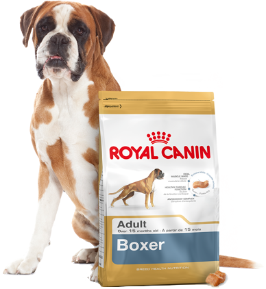 ROYAL CANIN Boxer Adult 12kg - zdjęcie 5