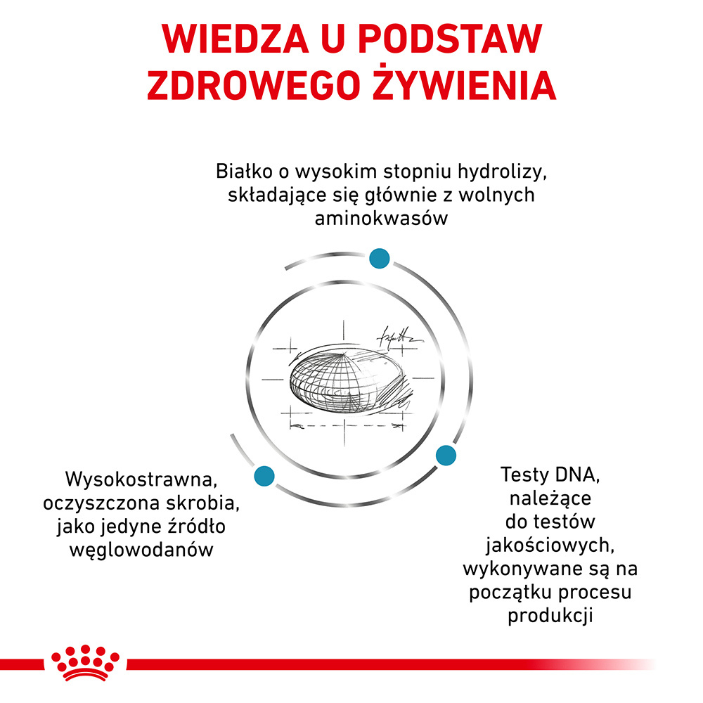 ROYAL CANIN Anallergenic Cat 4kg - zdjęcie 3