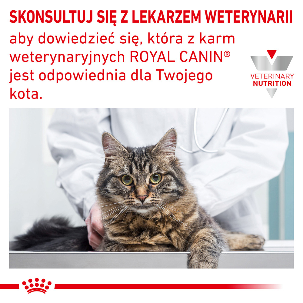 ROYAL CANIN Anallergenic Cat 4kg - zdjęcie 8