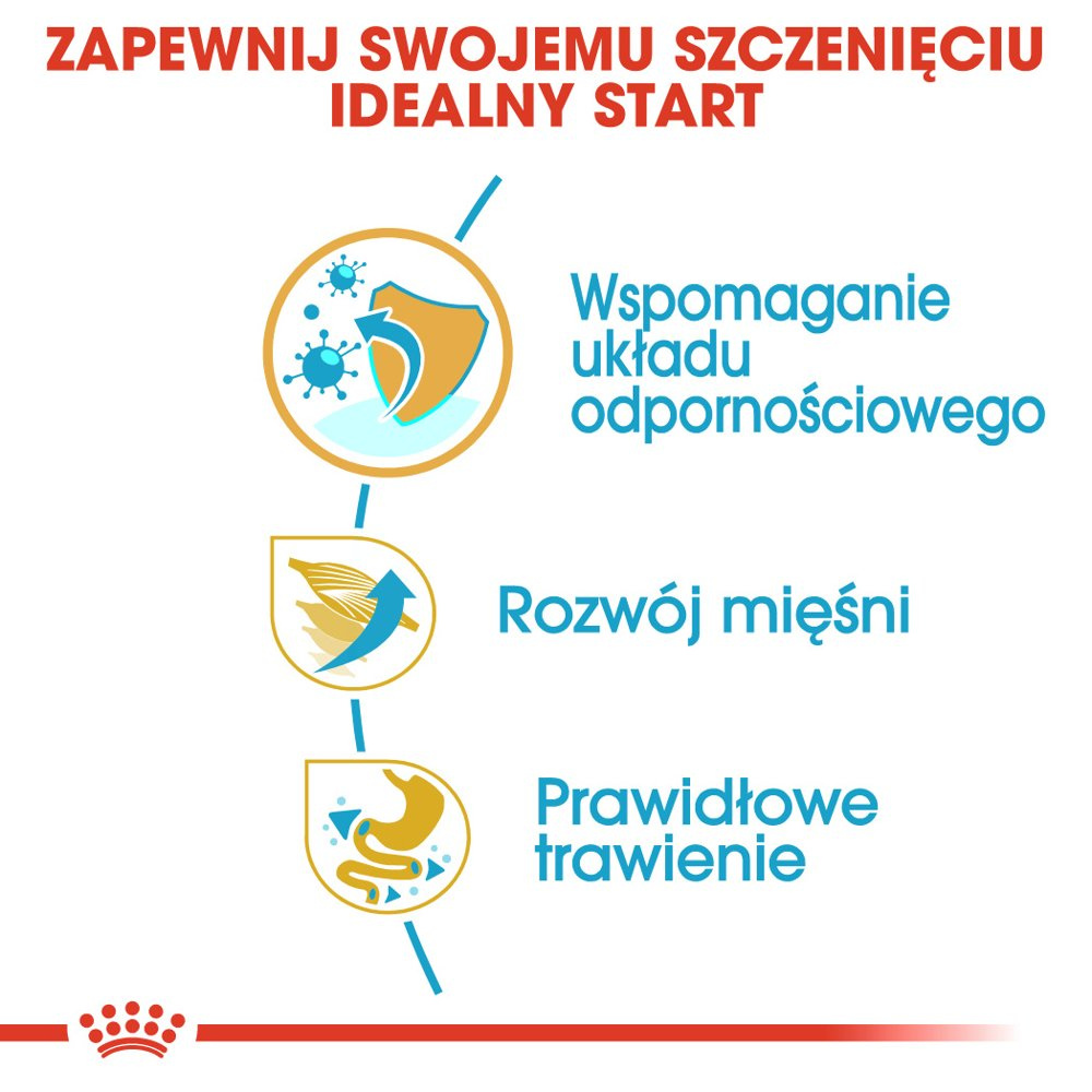 ROYAL CANIN Boxer Puppy 12kg - zdjęcie 4