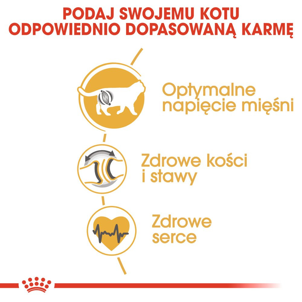 ROYAL CANIN British Shorthair Adult 400g - zdjęcie 4