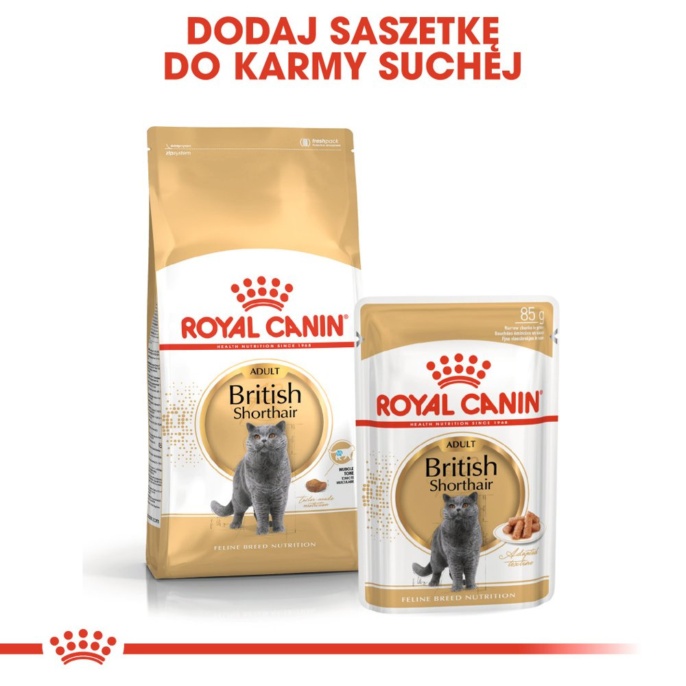 ROYAL CANIN British Shorthair Adult 400g - zdjęcie 5