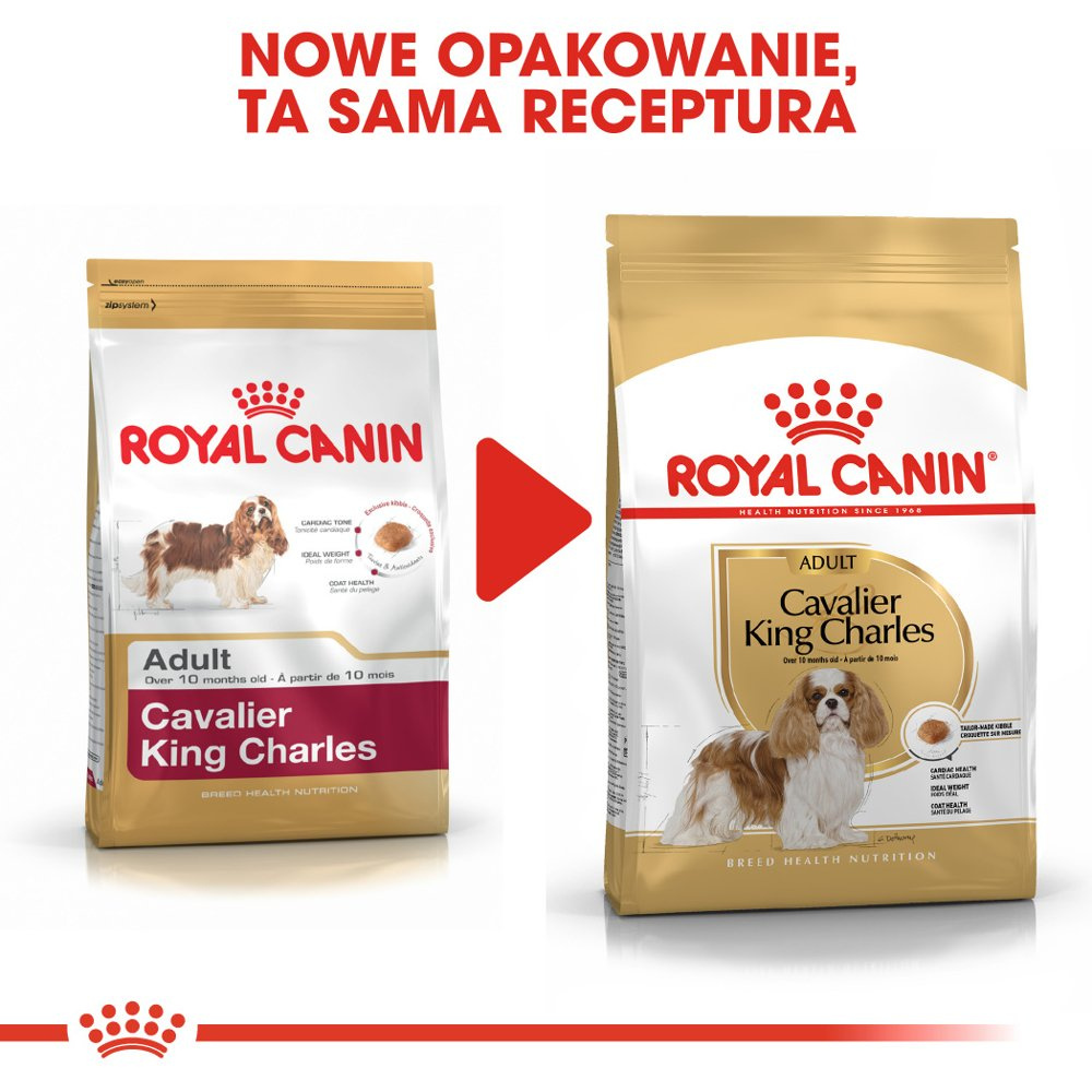 ROYAL CANIN Cavalier King Charles Spaniel Adult 1,5kg - zdjęcie 8