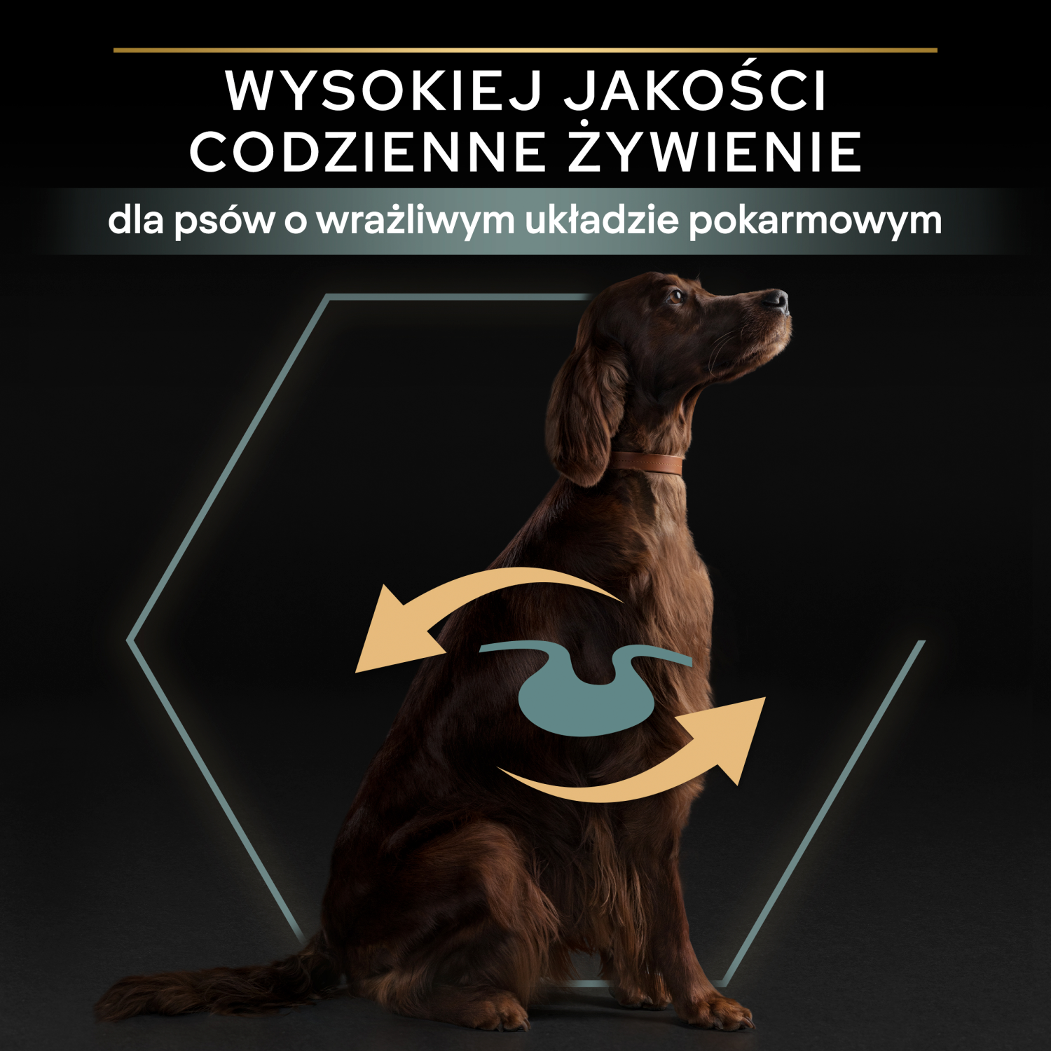 Purina Pro Plan Large Adult Athletic Optidigest Jagnięcina Z Ryżem 14kg - zdjęcie 2