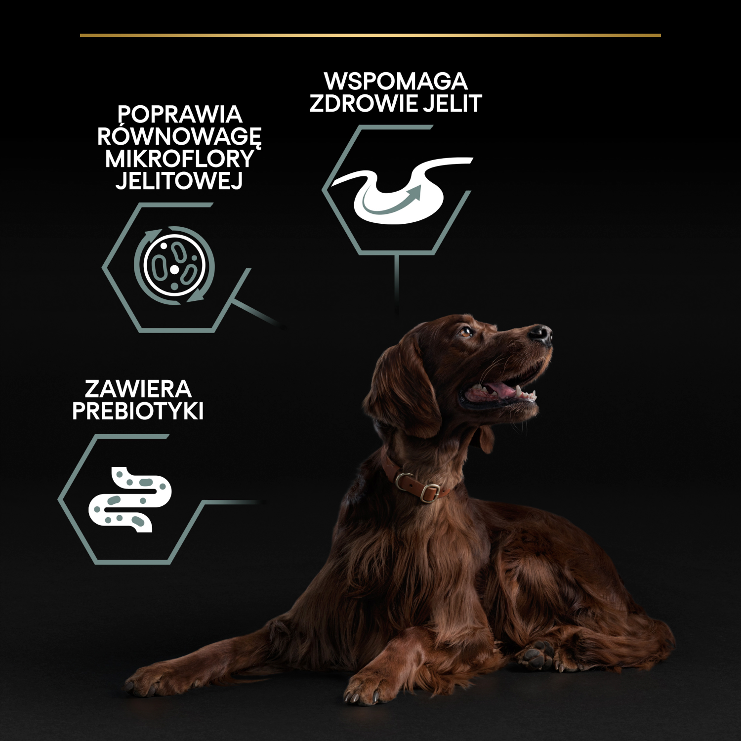 Purina Pro Plan Large Adult Athletic Optidigest Jagnięcina Z Ryżem 14kg - zdjęcie 3