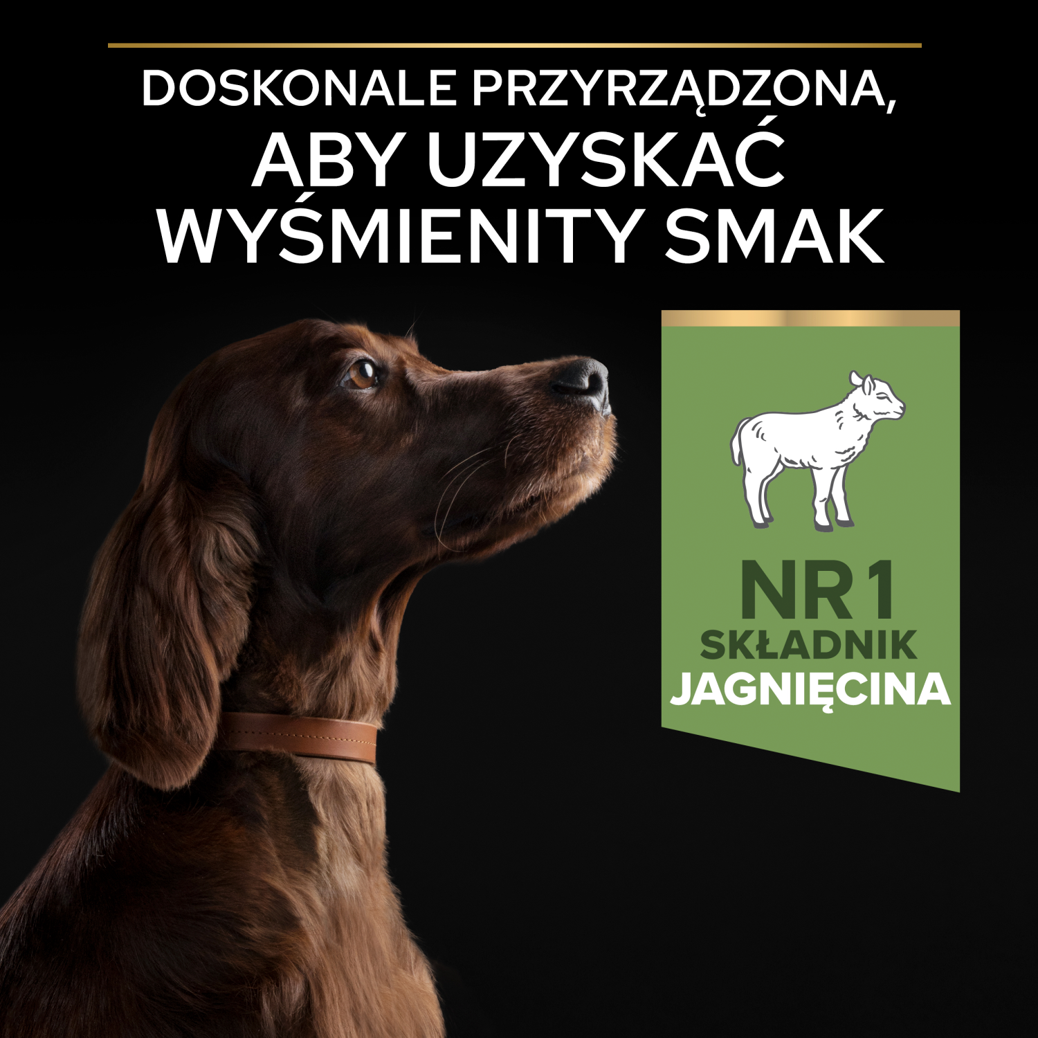 Purina Pro Plan Large Adult Athletic Optidigest Jagnięcina Z Ryżem 14kg - zdjęcie 5