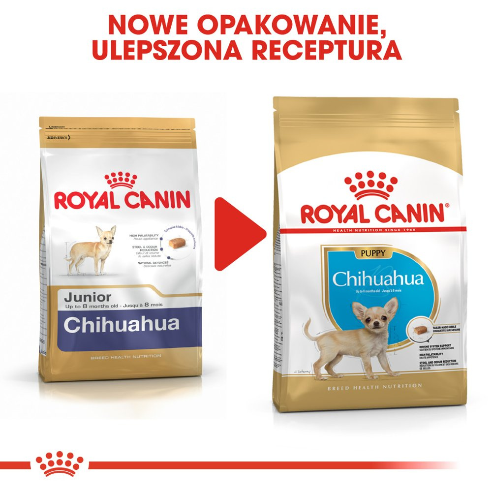 ROYAL CANIN Chihuahua Puppy 500g - zdjęcie 8