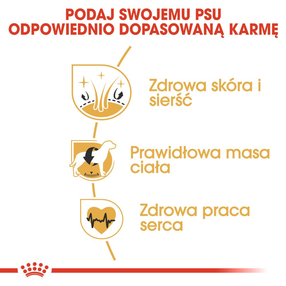 ROYAL CANIN Cocker Spaniel Adult 12kg - zdjęcie 4