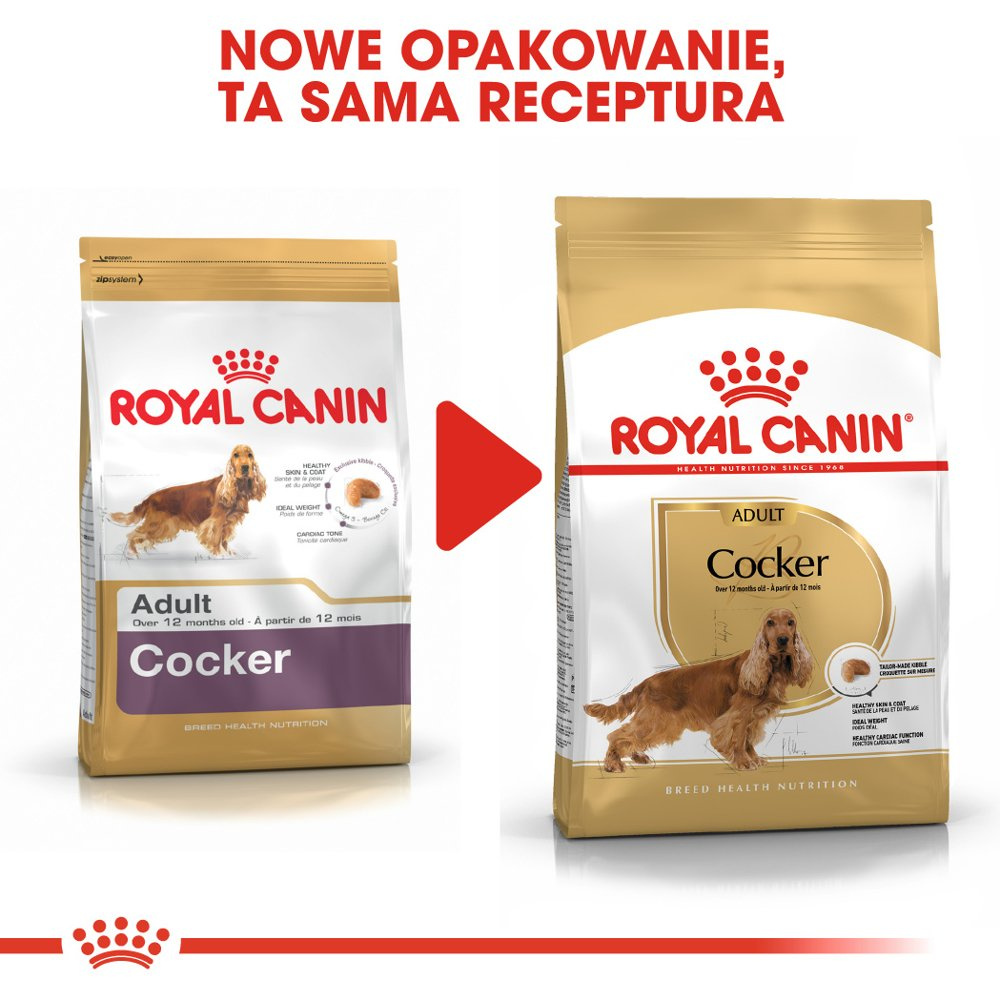 ROYAL CANIN Cocker Spaniel Adult 12kg - zdjęcie 7