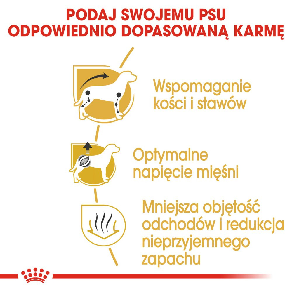 ROYAL CANIN Dachshund Adult 7,5kg - zdjęcie 5