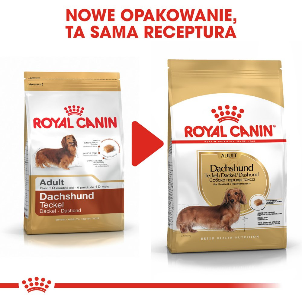 ROYAL CANIN Dachshund Adult 7,5kg - zdjęcie 8
