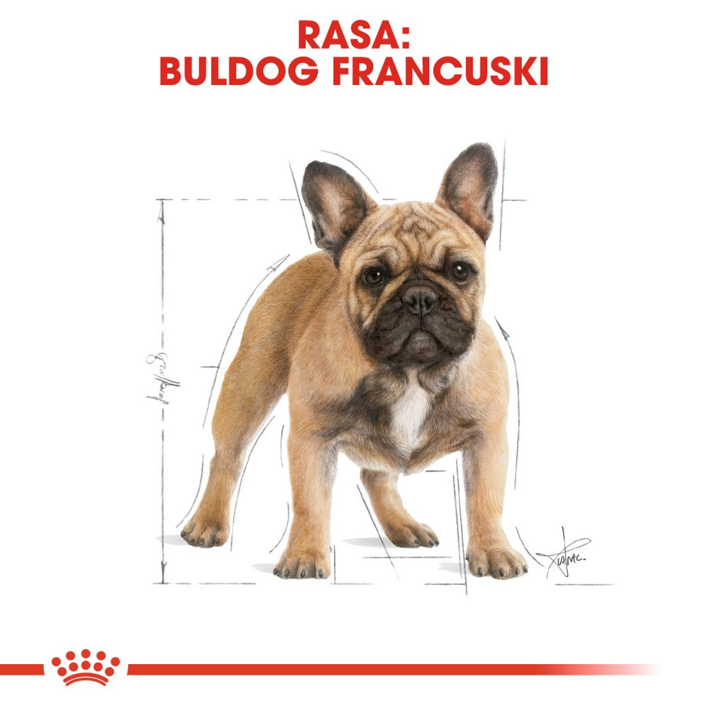 ROYAL CANIN French Bulldog Adult 9kg - zdjęcie 4