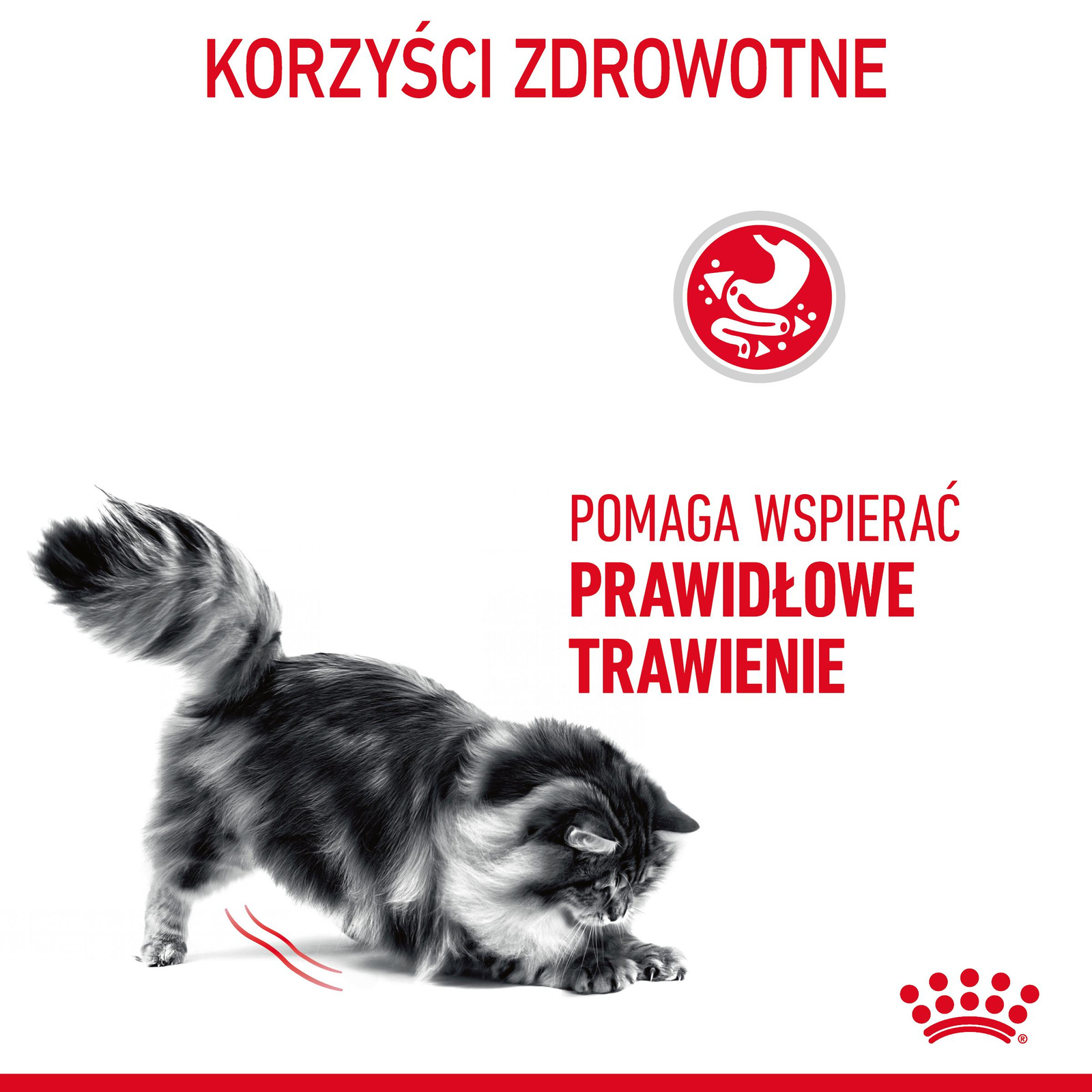 ROYAL CANIN Digestive Care 400g - zdjęcie 6