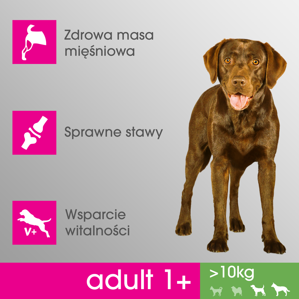 PERFECT FIT Adult 1+ Duże Rasy Z Kurczakiem 825g - zdjęcie 2