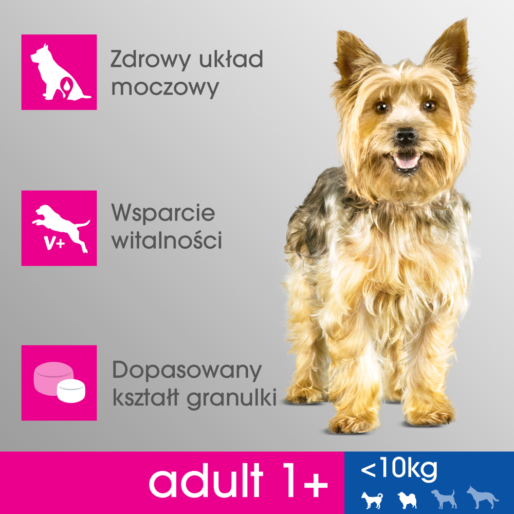 PERFECT FIT Adult 1+ Małe Rasy Z Kurczakiem 6kg - zdjęcie 2