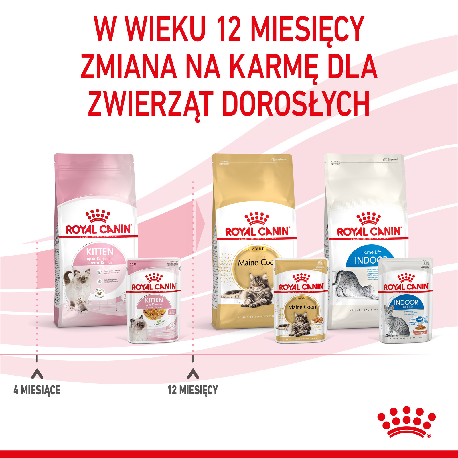 ROYAL CANIN Kitten Instinctive W Galaretce 12x85g - zdjęcie 10