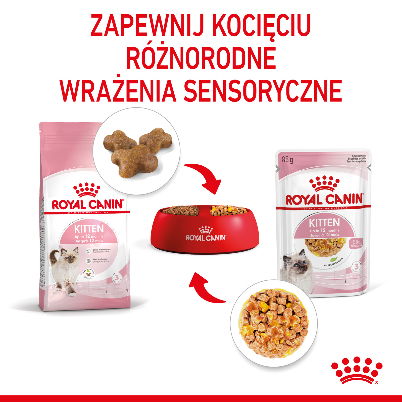 ROYAL CANIN Kitten Instinctive W Galaretce 12x85g - zdjęcie 7