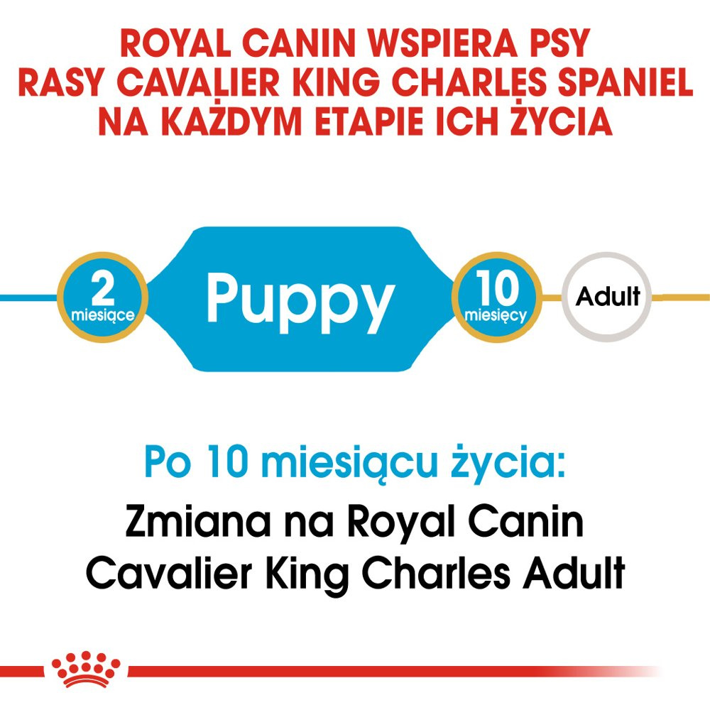 ROYAL CANIN Cavalier King Charles Spaniel Puppy 1,5kg - zdjęcie 2