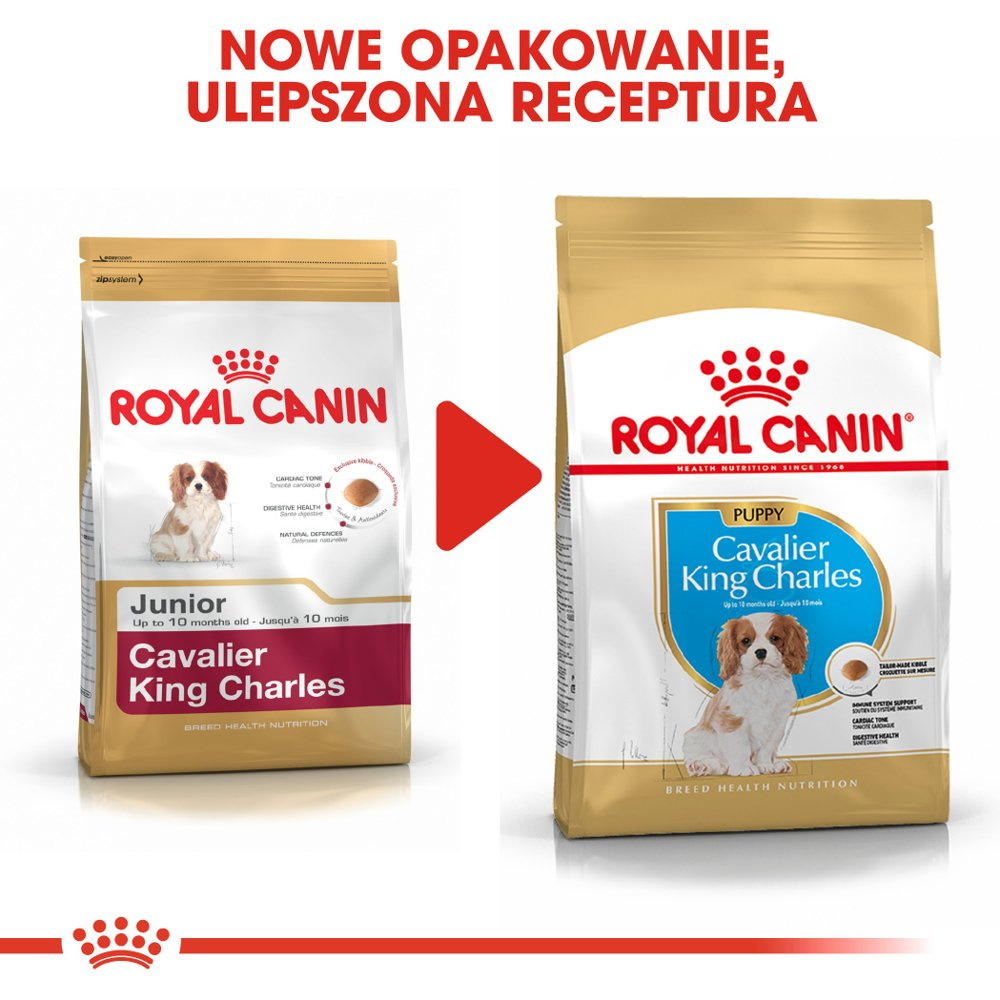 ROYAL CANIN Cavalier King Charles Spaniel Puppy 1,5kg - zdjęcie 8