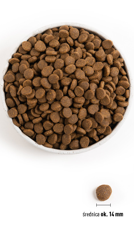 Acana Regionals Grasslands Dog 11,4kg - zdjęcie 3