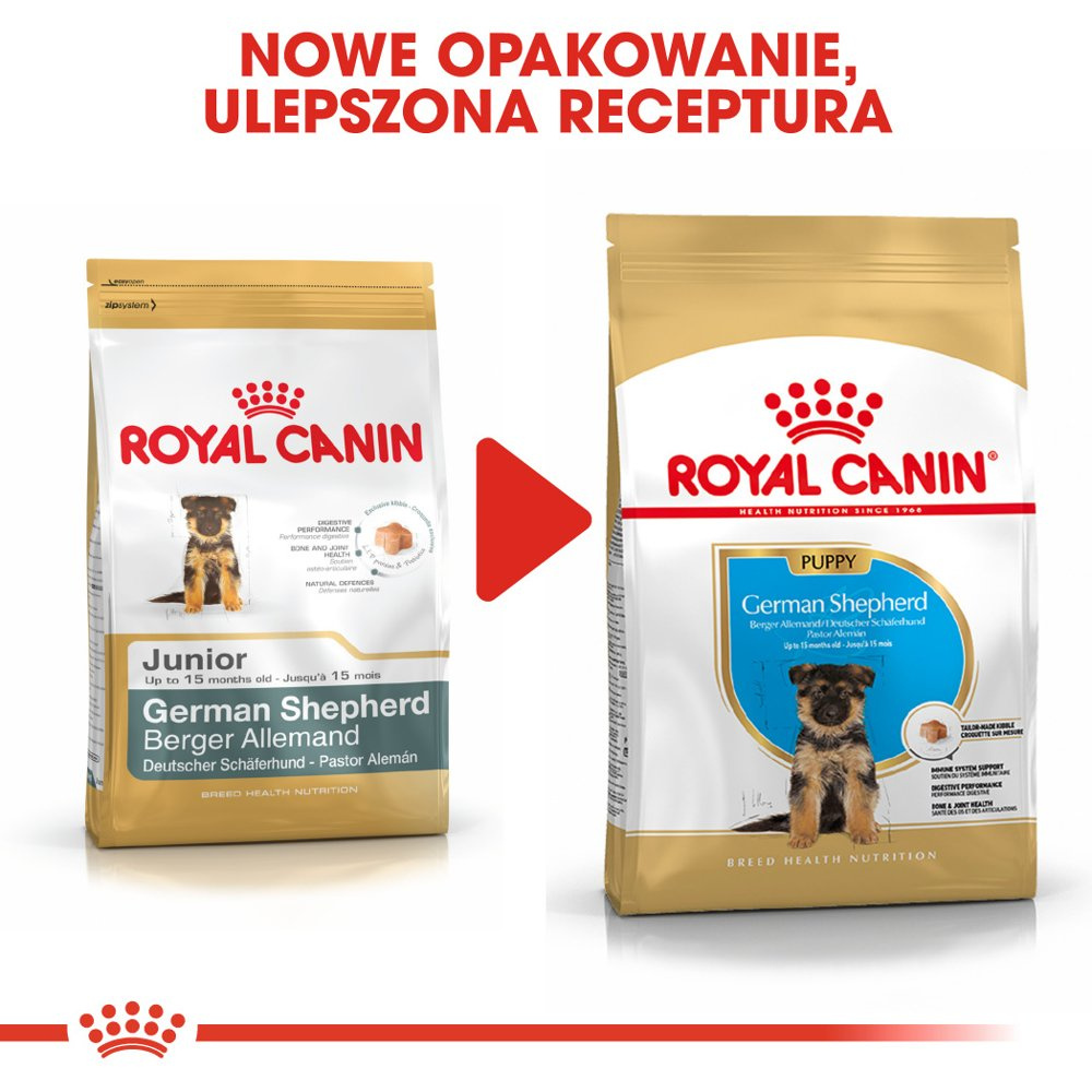 ROYAL CANIN German Shepherd Puppy 12kg - zdjęcie 9
