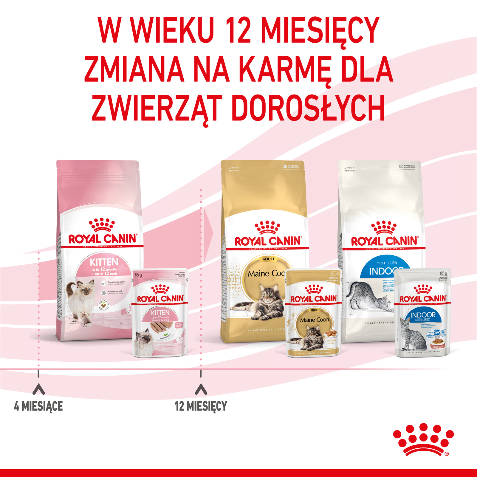 ROYAL CANIN Kitten Pasztet 12x85g - zdjęcie 10