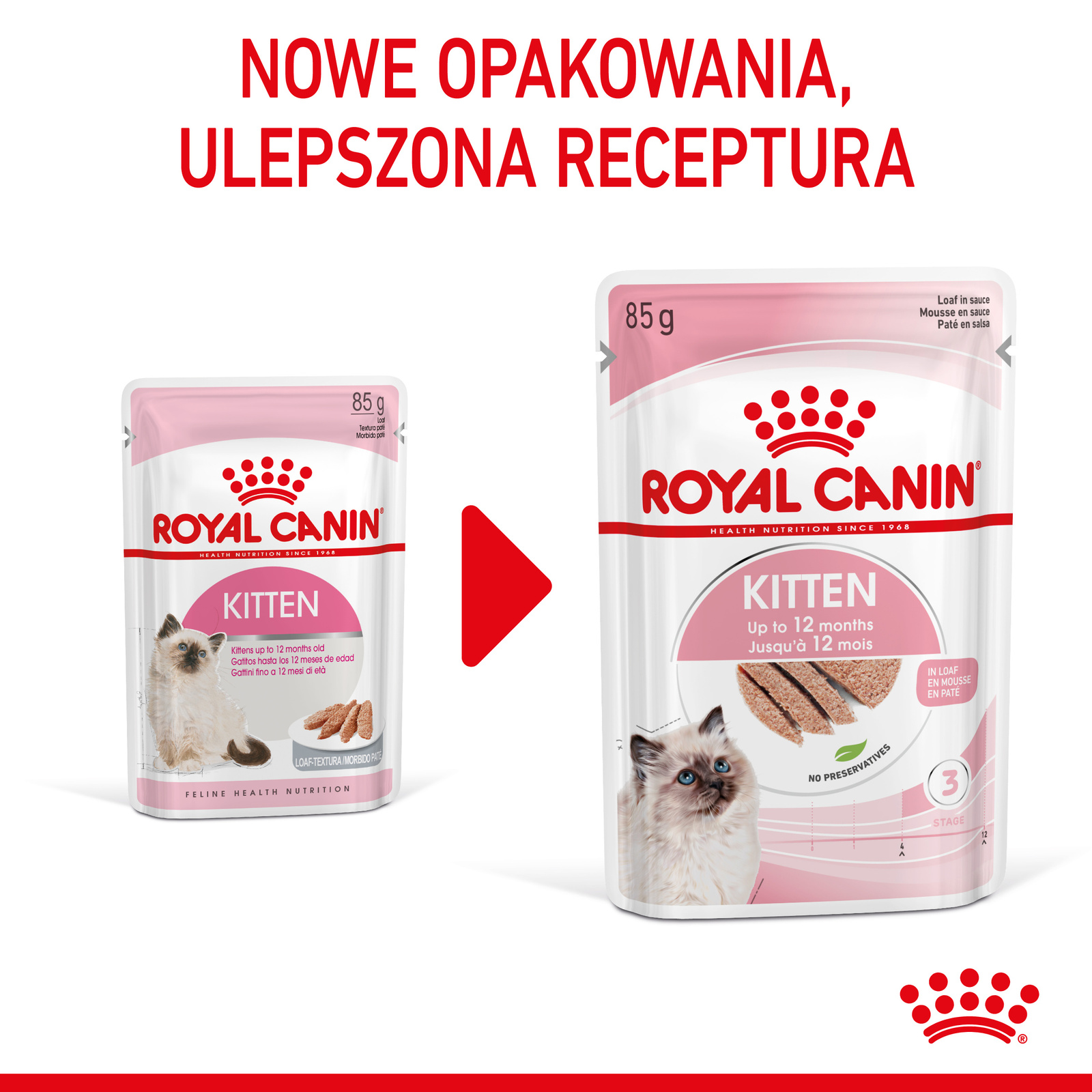 ROYAL CANIN Kitten Pasztet 12x85g - zdjęcie 4