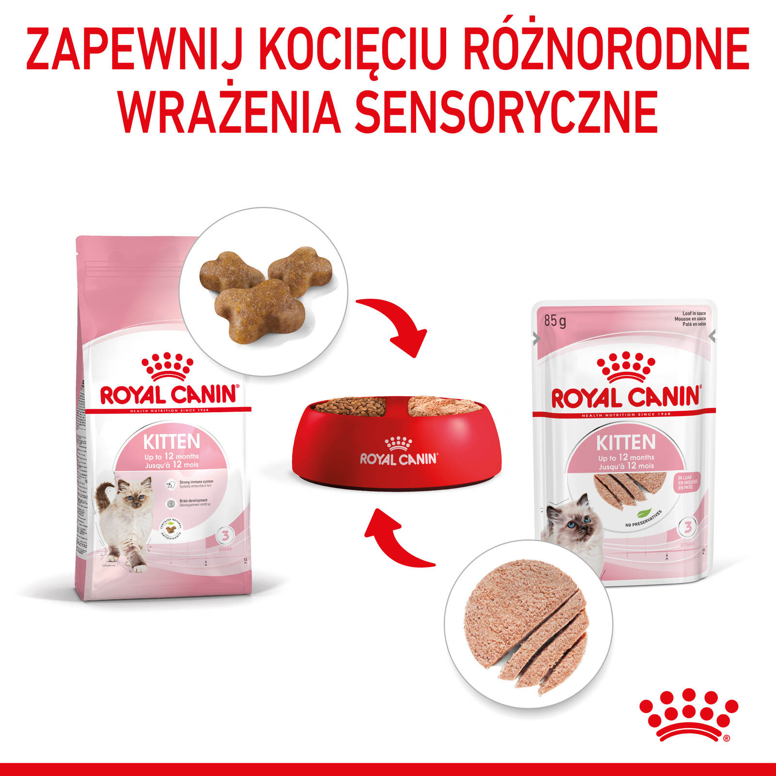 ROYAL CANIN Kitten Pasztet 12x85g - zdjęcie 7