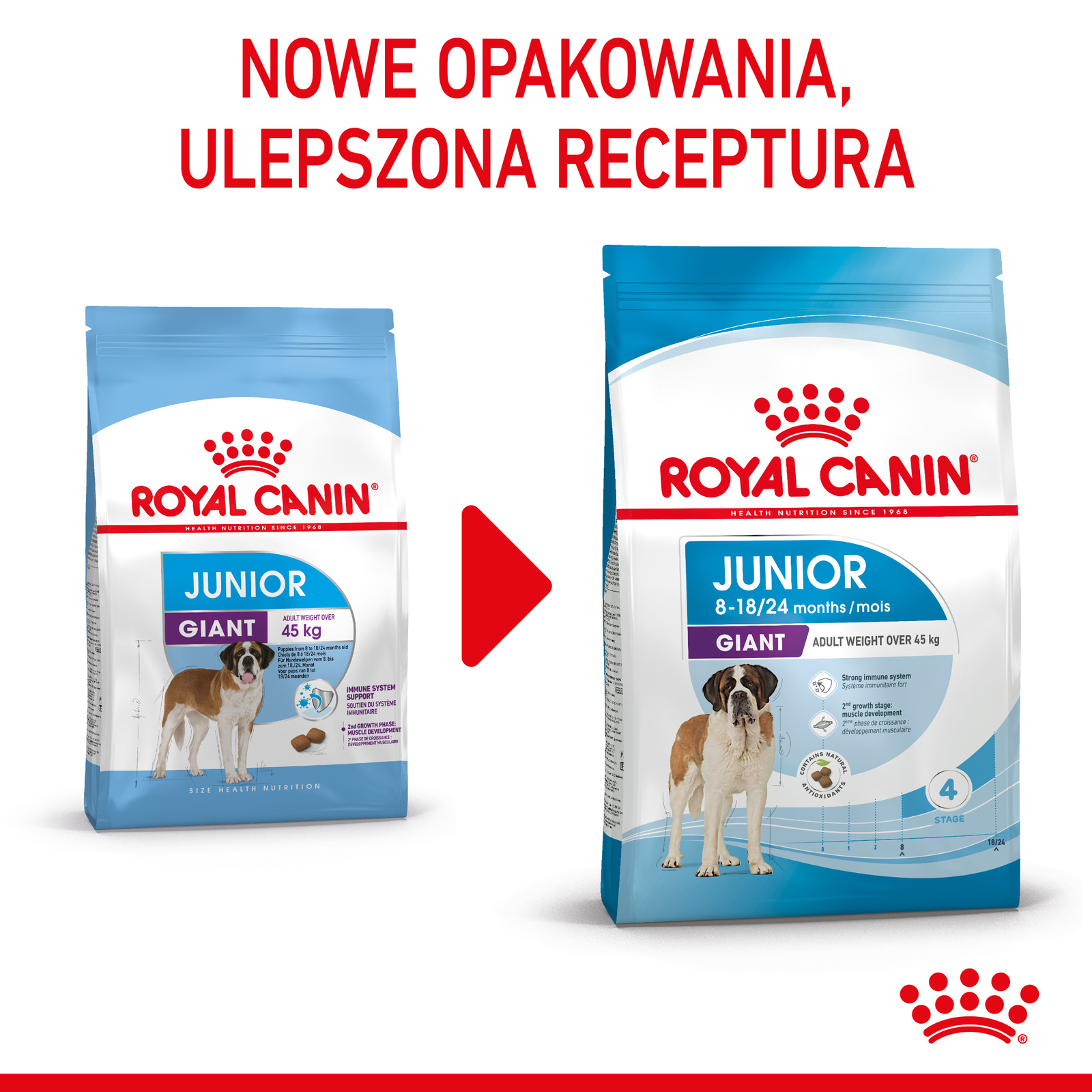 ROYAL CANIN Giant Junior 15kg - zdjęcie 4