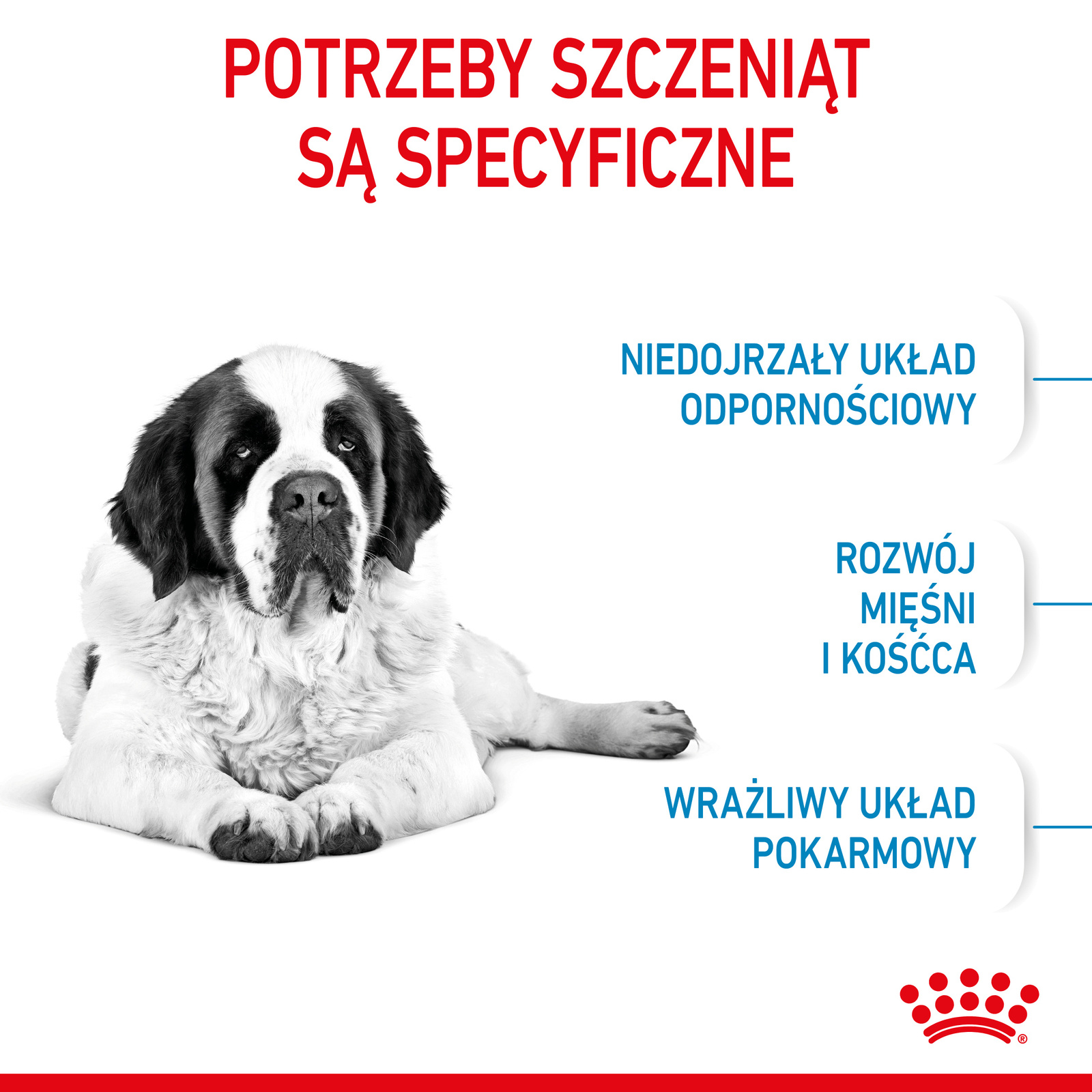 ROYAL CANIN Giant Junior 15kg - zdjęcie 5