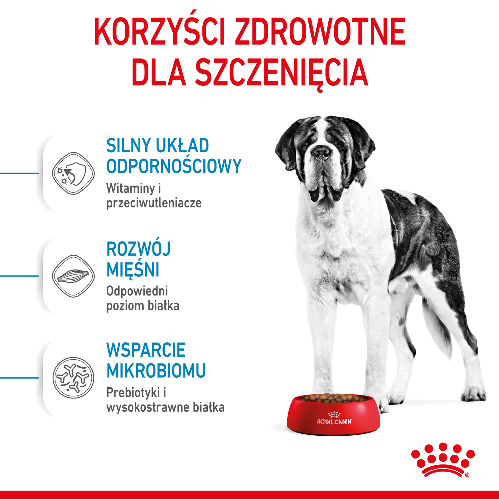 ROYAL CANIN Giant Junior 15kg - zdjęcie 6