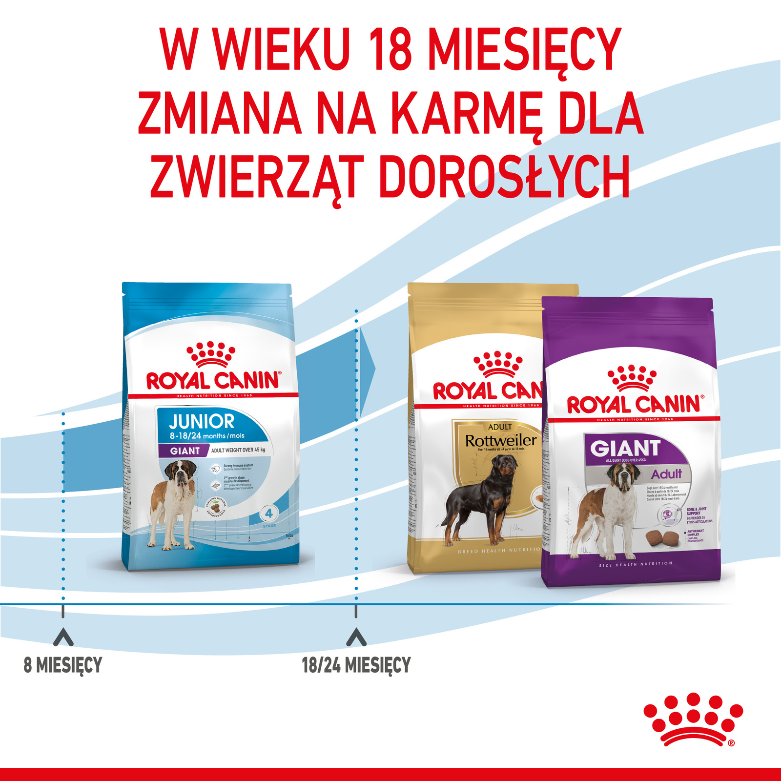 ROYAL CANIN Giant Junior 15kg - zdjęcie 8