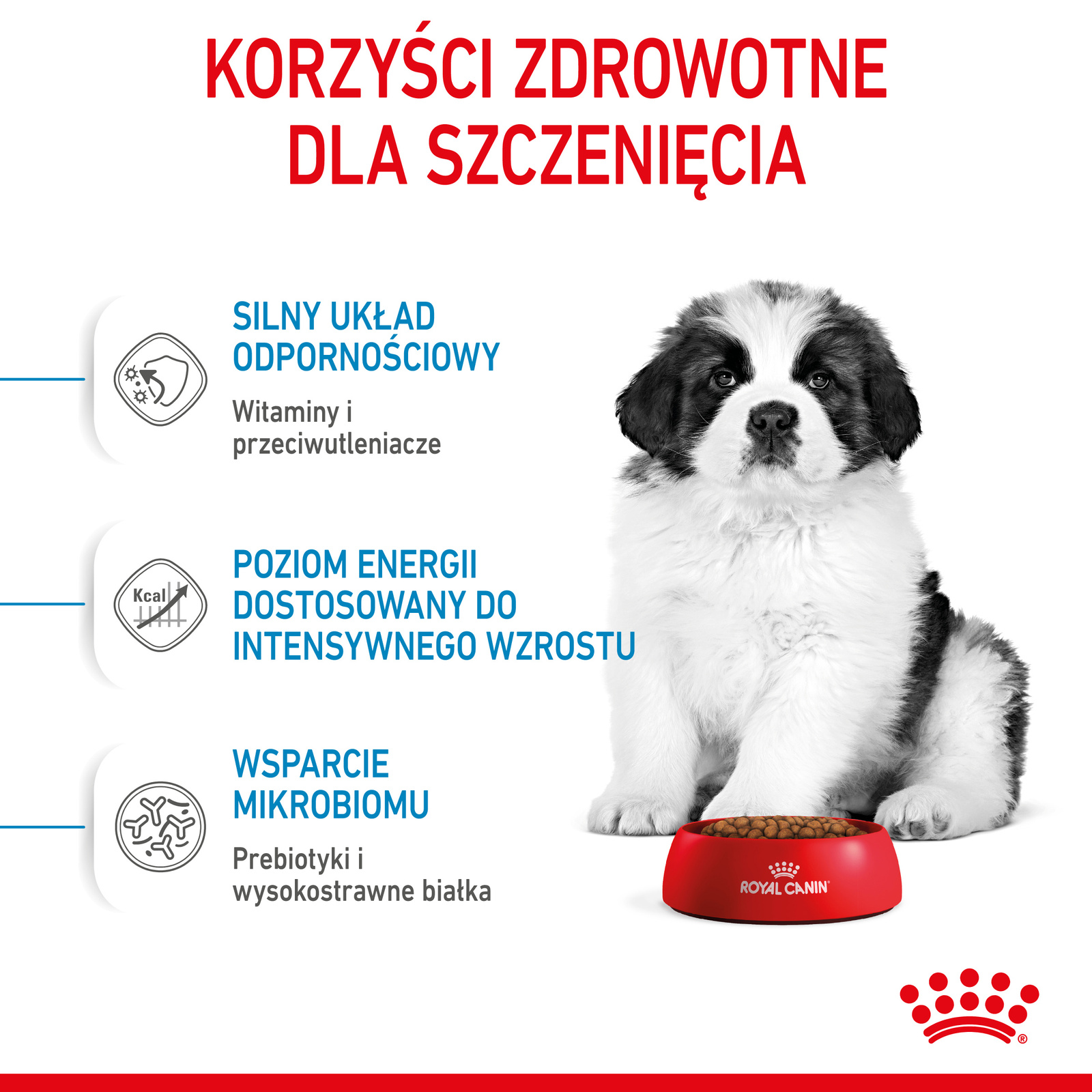 ROYAL CANIN Giant Puppy 15kg - zdjęcie 6
