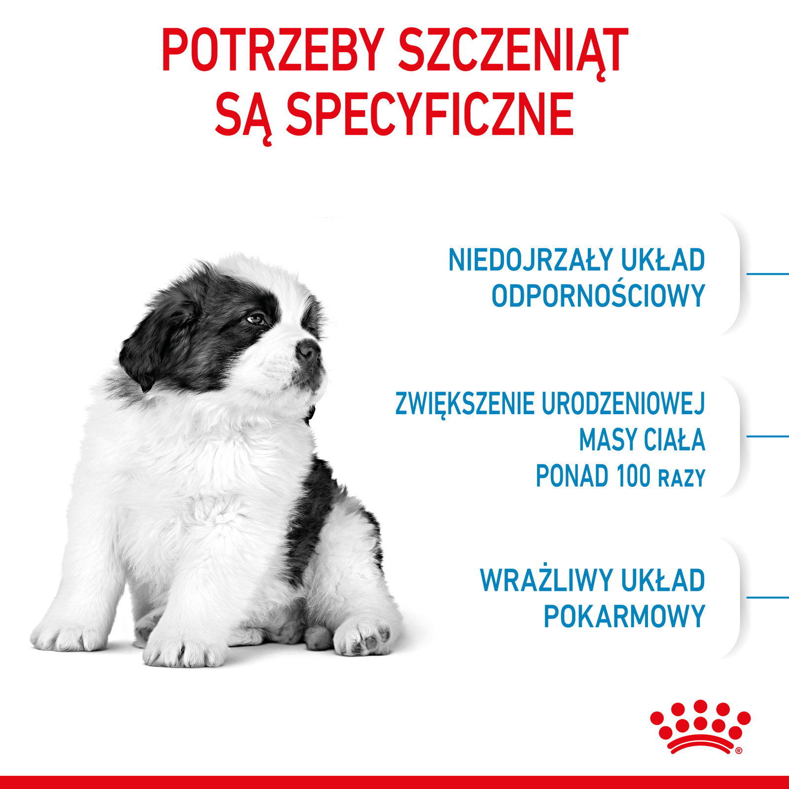 ROYAL CANIN Giant Puppy 15kg - zdjęcie 7