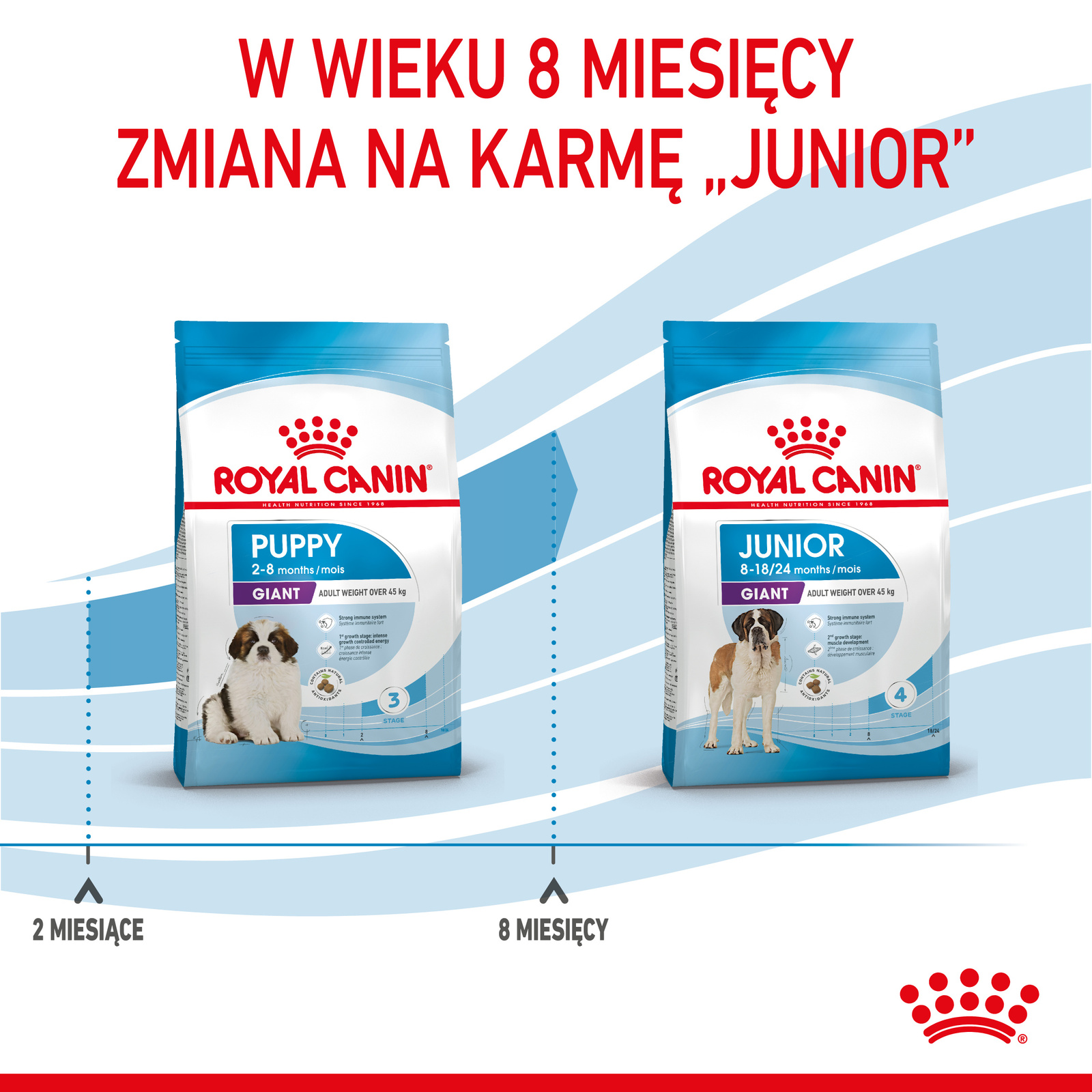 ROYAL CANIN Giant Puppy 15kg - zdjęcie 9