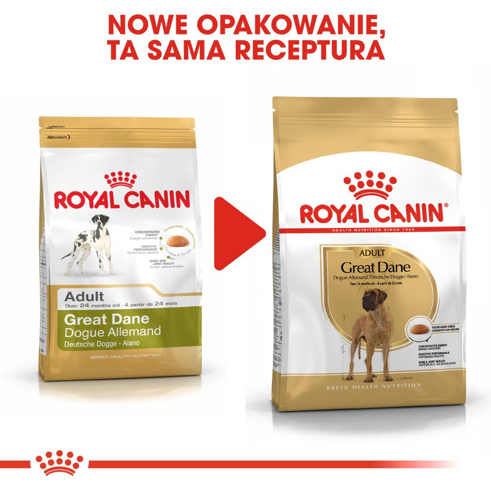 ROYAL CANIN Great Dane Adult 12kg - zdjęcie 7