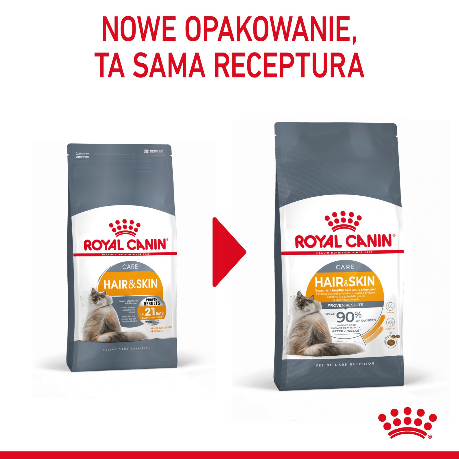 ROYAL CANIN Hair&Skin Care 10kg - zdjęcie 2