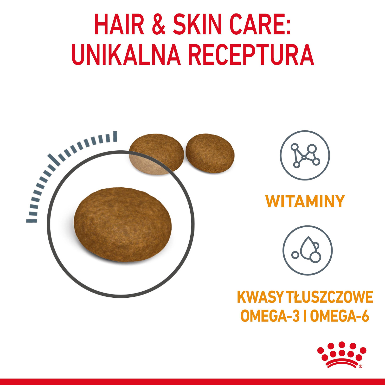 ROYAL CANIN Hair&Skin Care 10kg - zdjęcie 7