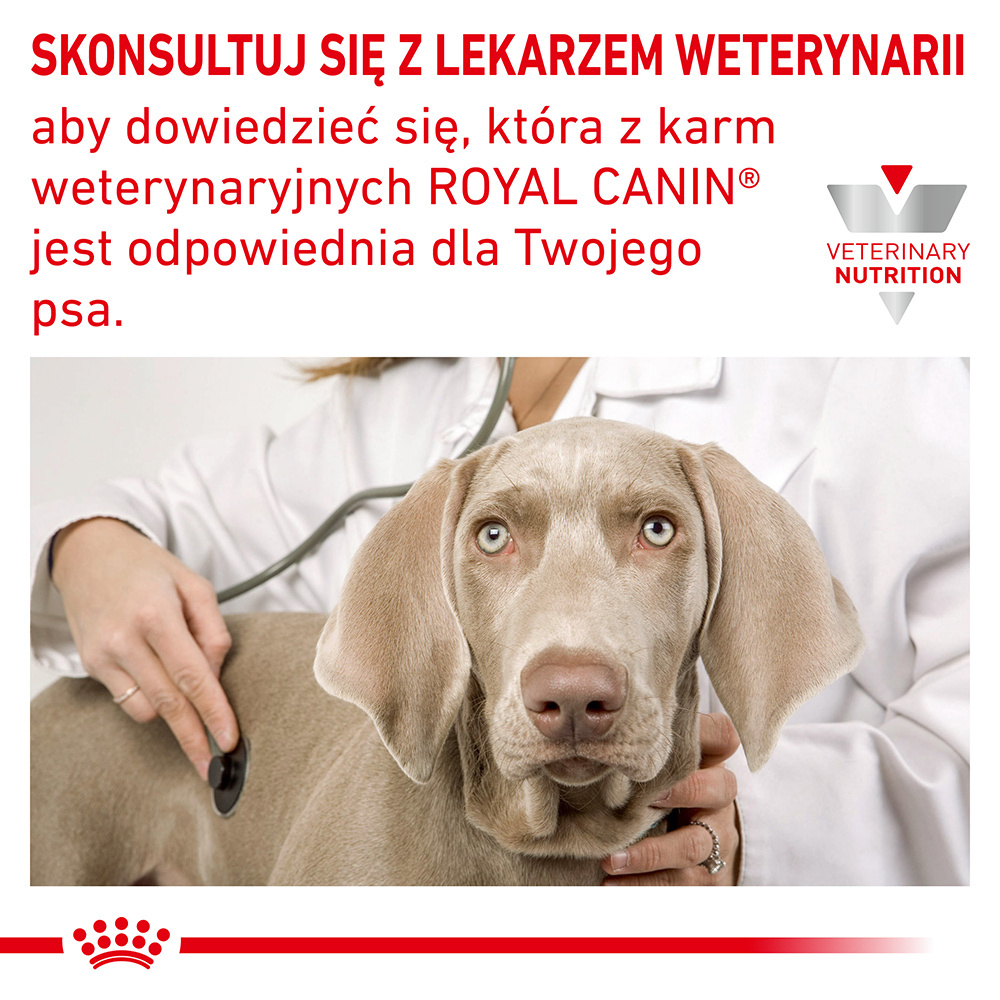 ROYAL CANIN Hypoallergenic 2kg - zdjęcie 9