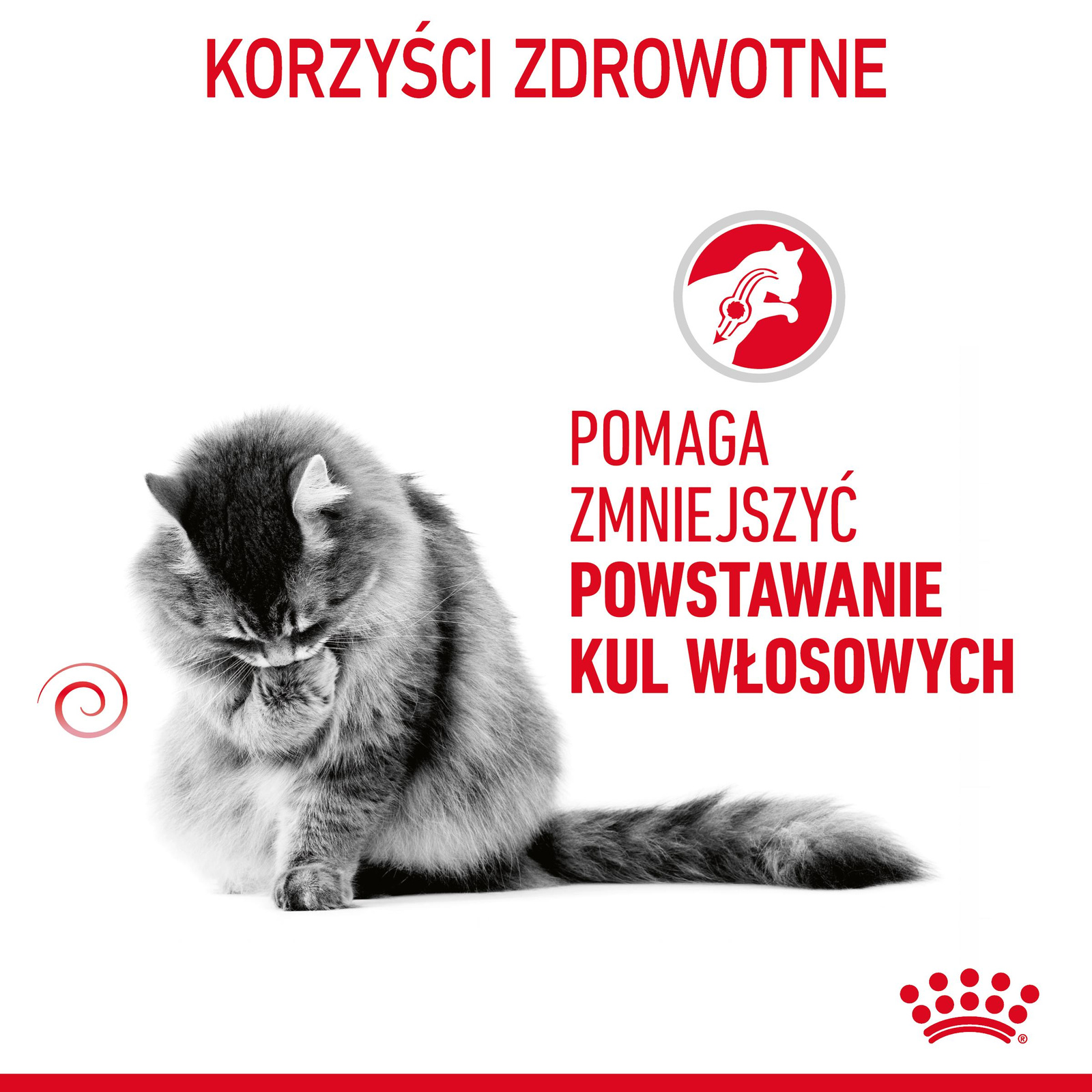 ROYAL CANIN Hairball Care 400g - zdjęcie 5