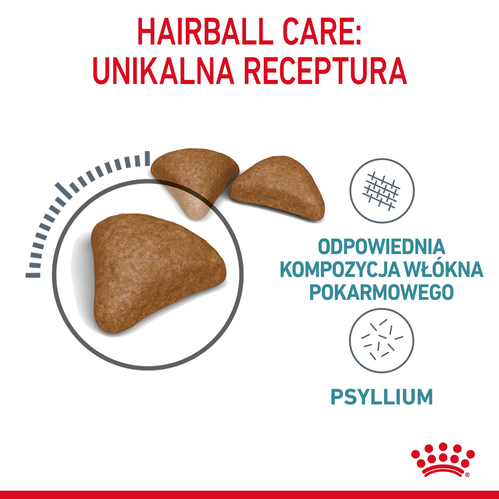 ROYAL CANIN Hairball Care 400g - zdjęcie 6