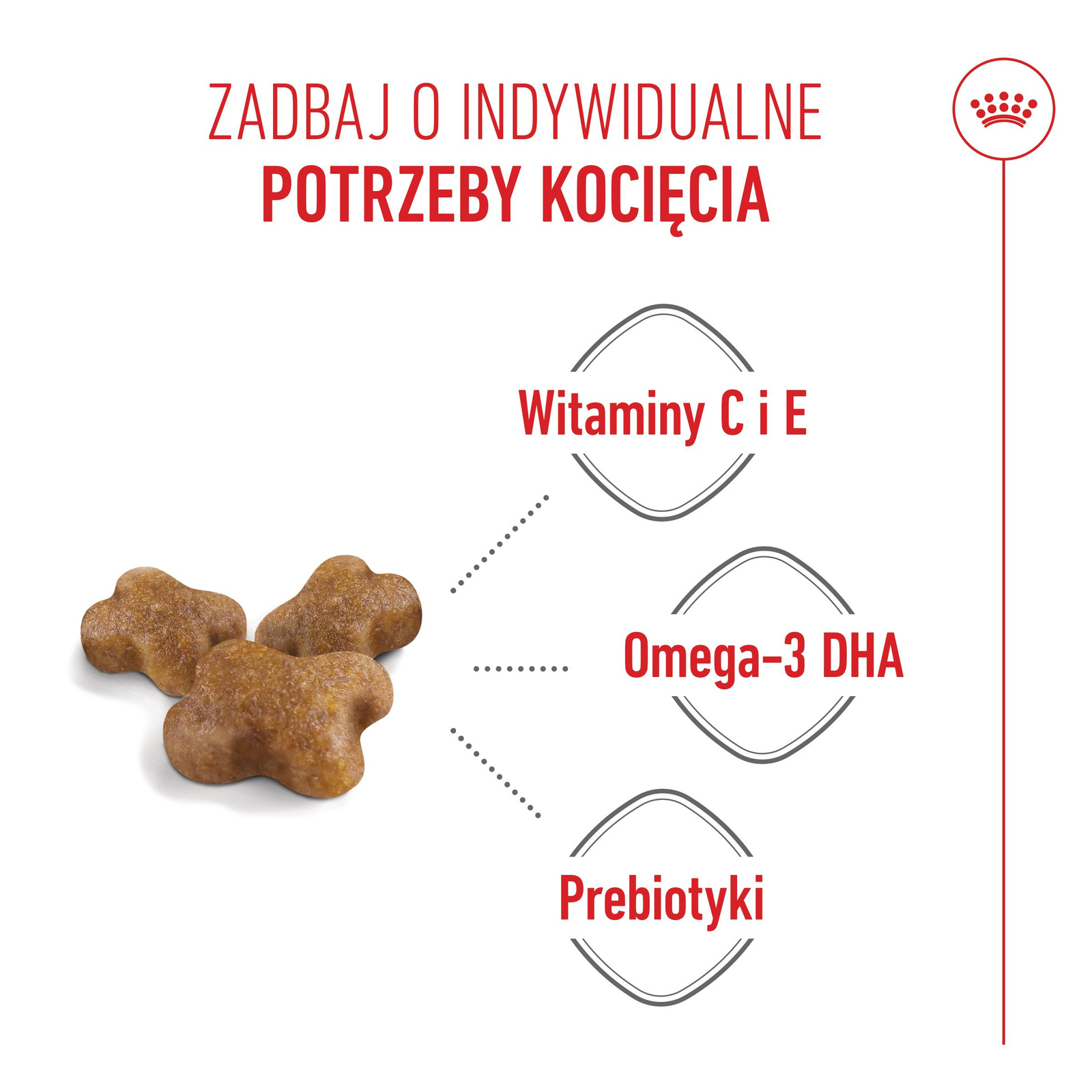 ROYAL CANIN  Kitten 2kg - zdjęcie 2
