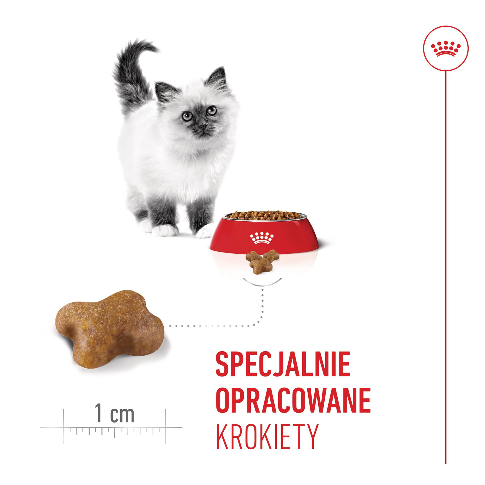 ROYAL CANIN  Kitten 2kg - zdjęcie 3