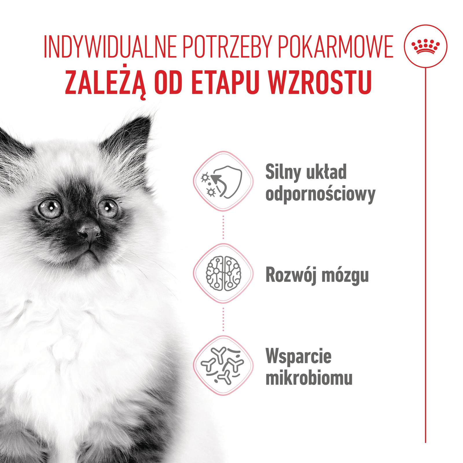 ROYAL CANIN  Kitten 2kg - zdjęcie 4