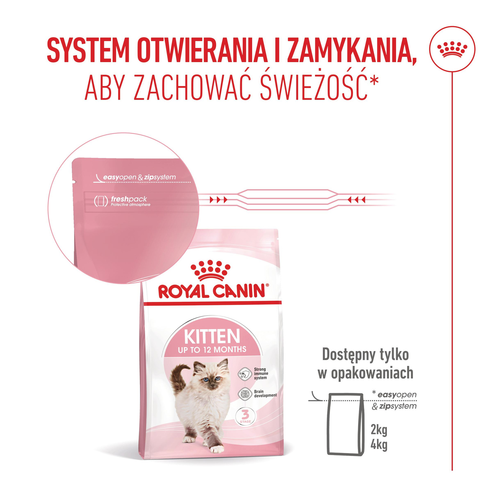 ROYAL CANIN  Kitten 2kg - zdjęcie 5
