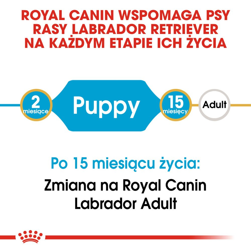 ROYAL CANIN Labrador Retriever Puppy 12kg - zdjęcie 4
