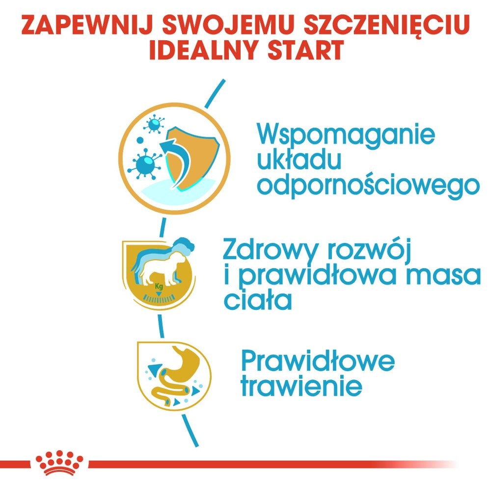 ROYAL CANIN Labrador Retriever Puppy 12kg - zdjęcie 5