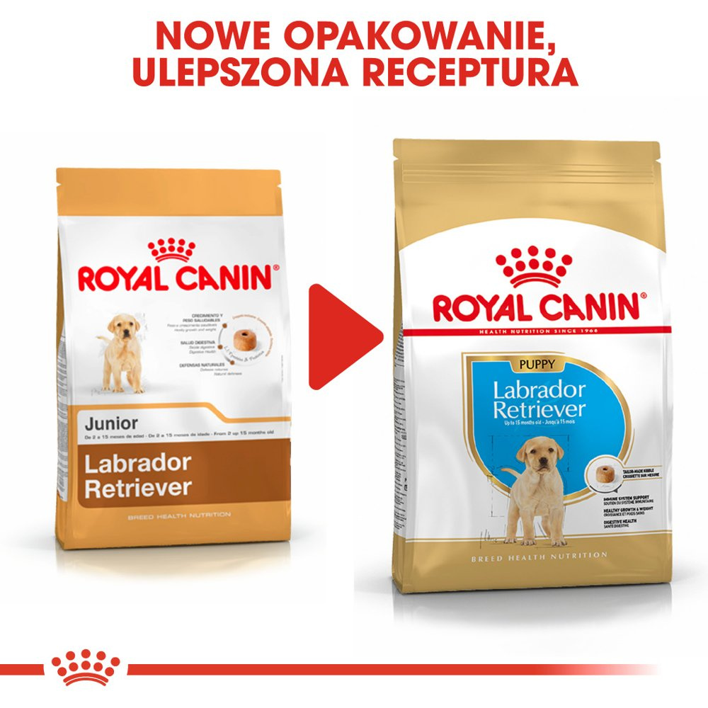 ROYAL CANIN Labrador Retriever Puppy 12kg - zdjęcie 9