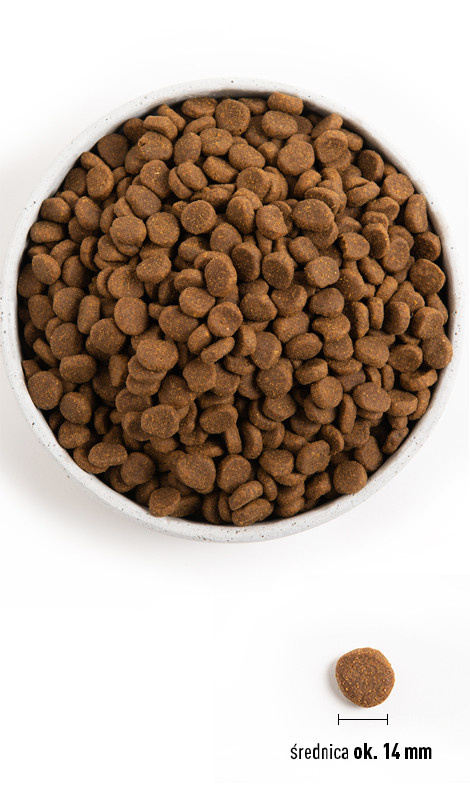 Orijen Original Dog 11,4kg - zdjęcie 3