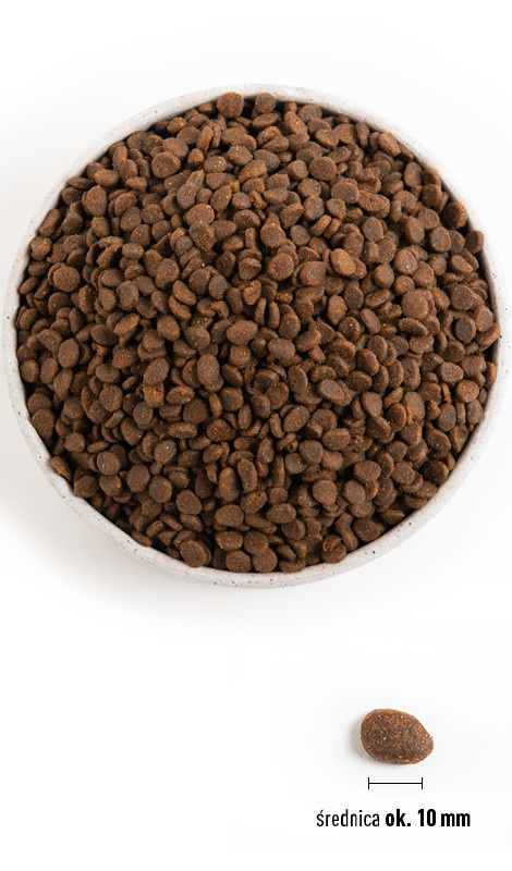 ORIJEN Regional Red Cat 5,4kg - zdjęcie 3